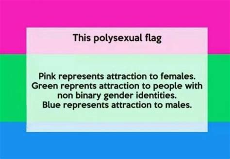 define polysexual|Polysexual 